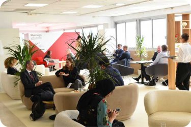 Sofas, plants and carpet