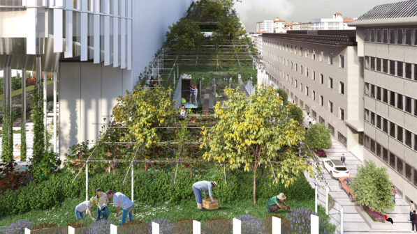 CRA Vitae Milan Vineyard - sustainable development